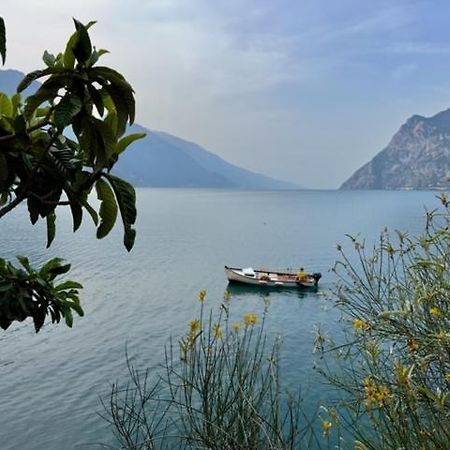 Alloggio Turistico Molu Apartman Gavazzo Nuova Kültér fotó