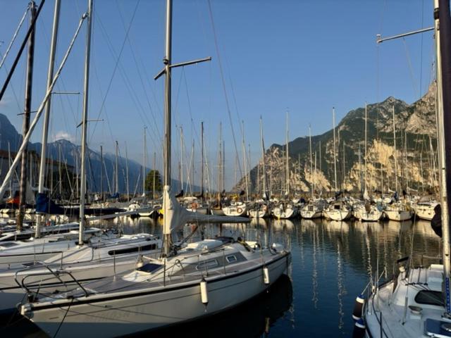 Alloggio Turistico Molu Apartman Gavazzo Nuova Kültér fotó